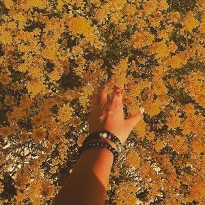 Meet your Posher, Ava